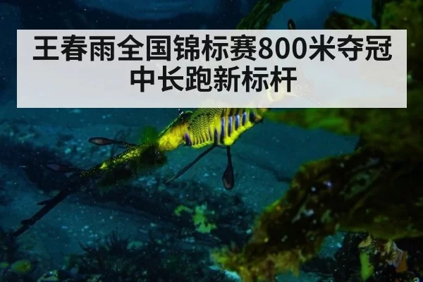 王春雨全国锦标赛800米夺冠 中长跑新标杆